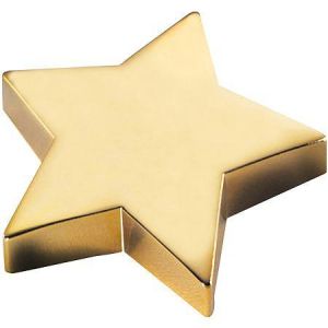 Gifts - Natico Silver Star Paperweight.jpg